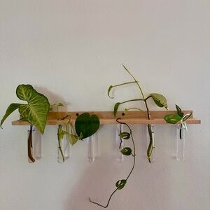 Minimalist Hanging Plant Propagation
Station